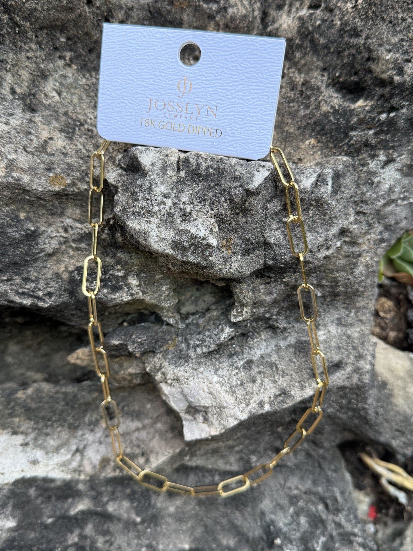 Stainless Steel Waterproof Tarnish Free Necklace